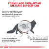 Feline Gastrointestinal 